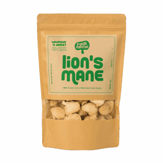 Fungimental - Dried Lion's Mane Chunks - 6x125g