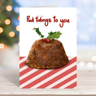 Katie Tinkler Illustrations -   Pud Tidings to You x6
